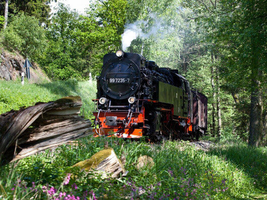 Dampflokomotive fährt den bewaldeten Berg hinauf